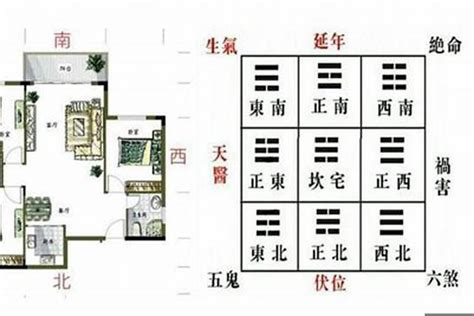 如何分辨青龙位|深度解析青龙白虎高低风水住宅，掌握风水布局的重要性